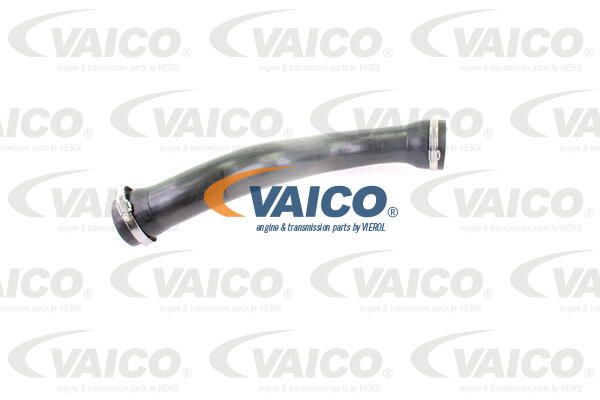 VAICO Laadimisõhu voolik V10-3793