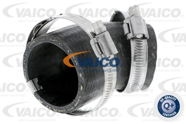 VAICO Трубка нагнетаемого воздуха V10-3799