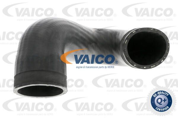 VAICO Трубка нагнетаемого воздуха V10-3813