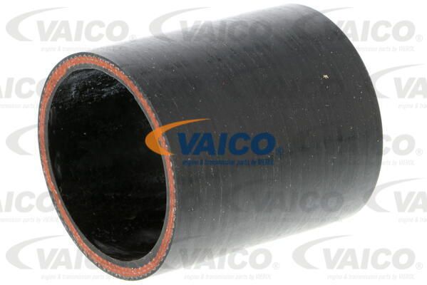 VAICO Laadimisõhu voolik V10-3819