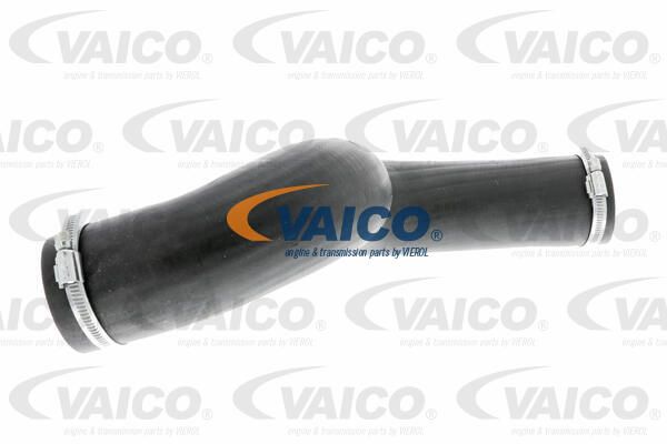 VAICO Laadimisõhu voolik V10-3832