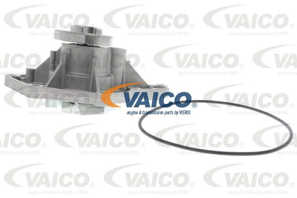 VAICO Veepump V10-50061-1