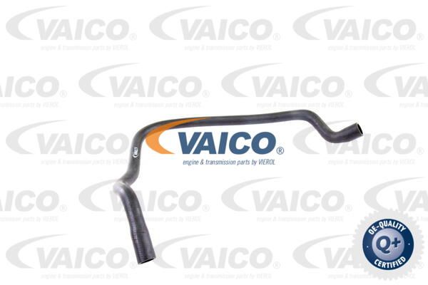 VAICO Шланг радиатора V20-0142