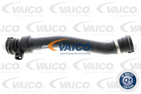 VAICO Шланг радиатора V20-0906