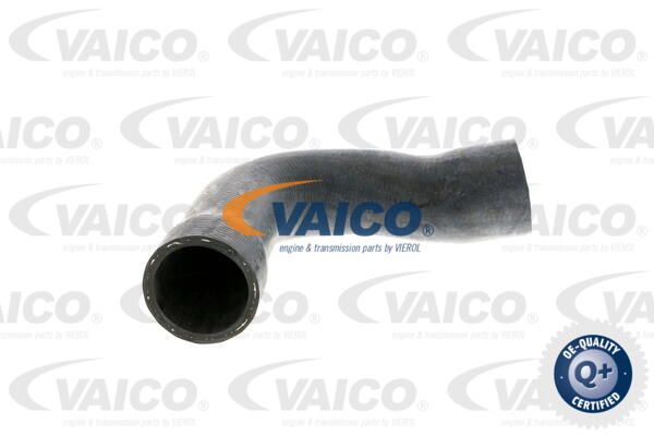 VAICO Шланг радиатора V20-1250