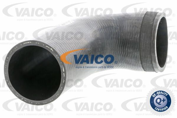 VAICO Laadimisõhu voolik V20-2711