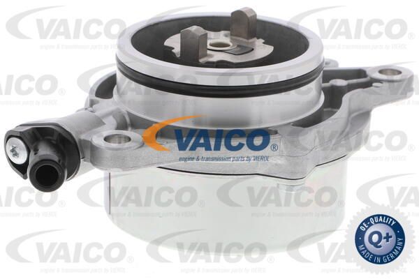 VAICO Pump,pidurisüsteem V20-8175