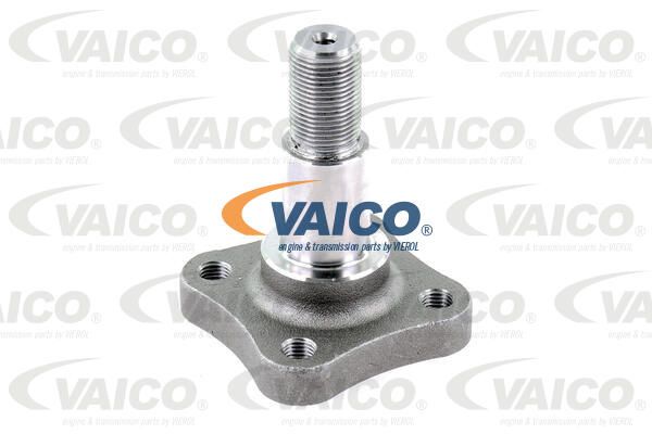 VAICO Rattarumm V21-0011