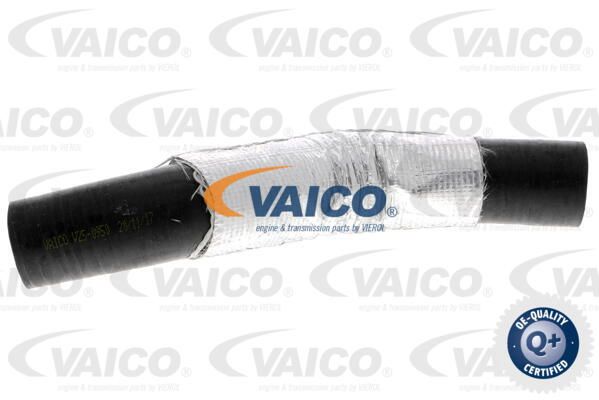 VAICO Laadimisõhu voolik V25-0950