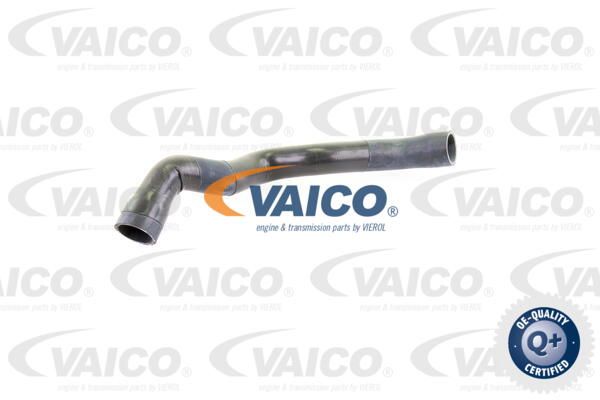VAICO Шланг радиатора V30-0145