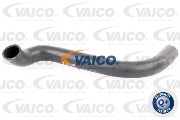 VAICO Шланг радиатора V30-0249
