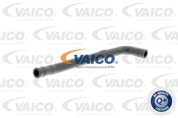VAICO Шланг, воздухоотвод крышки головки цилиндра V30-0669