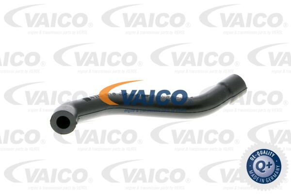 VAICO Шланг, воздухоотвод крышки головки цилиндра V30-0697
