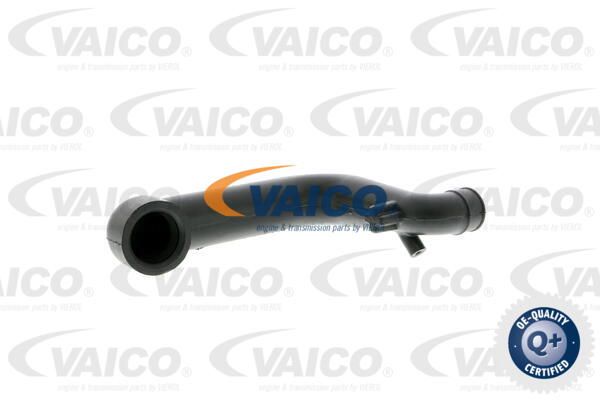 VAICO Шланг, воздухоотвод крышки головки цилиндра V30-0796