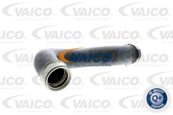 VAICO Трубка нагнетаемого воздуха V30-1773