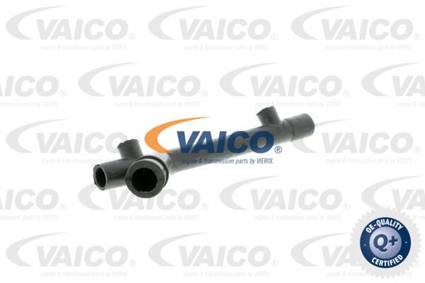 VAICO Шланг, воздухоотвод крышки головки цилиндра V30-1884