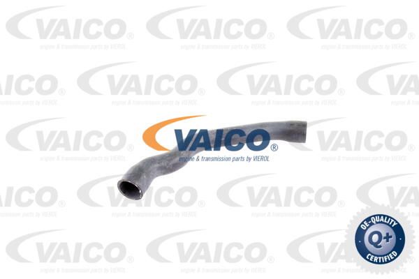 VAICO Шланг радиатора V30-2099