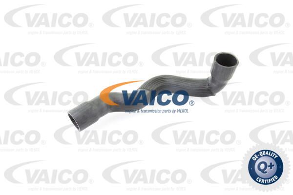VAICO Laadimisõhu voolik V30-2249