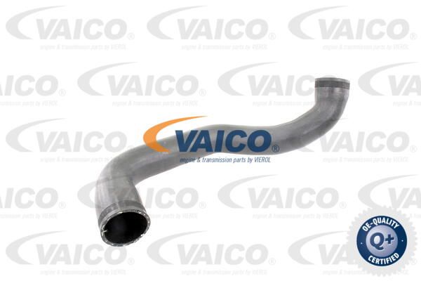 VAICO Трубка нагнетаемого воздуха V30-2450