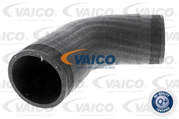 VAICO Laadimisõhu voolik V30-2451