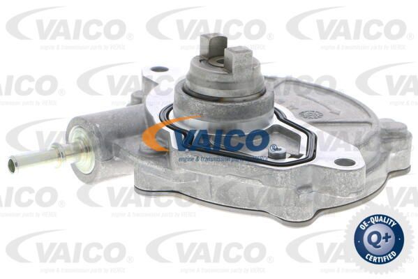 VAICO Pump,pidurisüsteem V30-8354