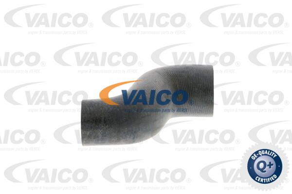 VAICO Шланг радиатора V40-0370