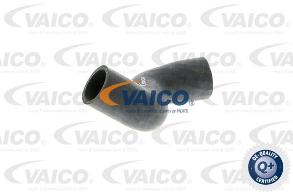 VAICO Шланг радиатора V40-1335