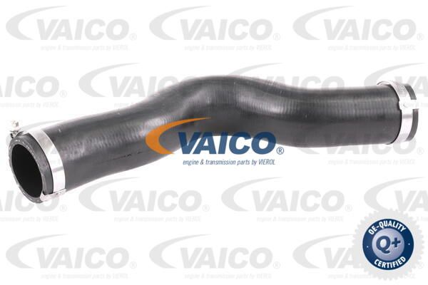 VAICO Трубка нагнетаемого воздуха V40-1448