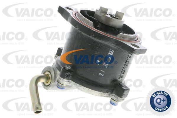 VAICO Pump,pidurisüsteem V46-0237