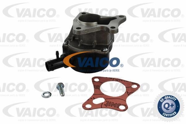 VAICO Pump,pidurisüsteem V46-0239