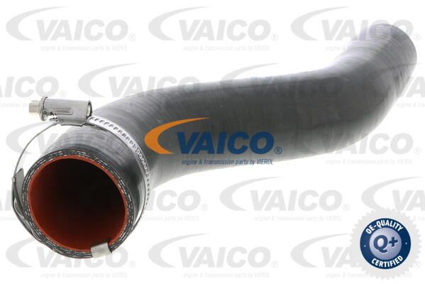 VAICO Трубка нагнетаемого воздуха V46-0738