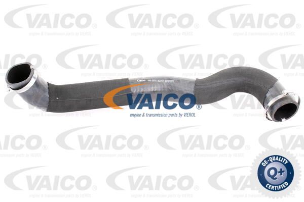VAICO Трубка нагнетаемого воздуха V48-0070