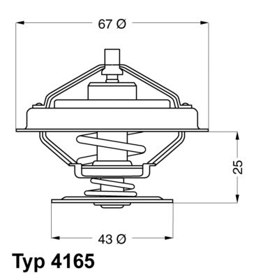 WAHLER Termostaat,Jahutusvedelik 4165.79D