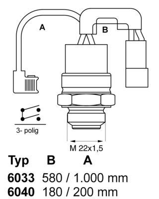 WAHLER Термовыключатель, вентилятор радиатора 6033.88